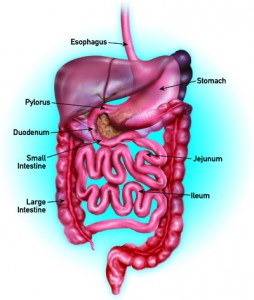 Gastric Bypass Thousand Oaks | University Bariatrics Oxnard 