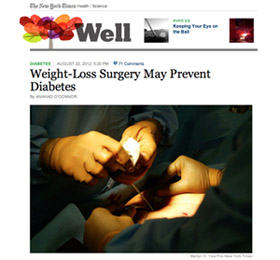 NY Times 8-2012