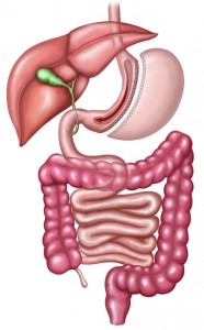 Sleeve Gastrectomy Thousand Oaks | Gastric Sleeve Simi Valley